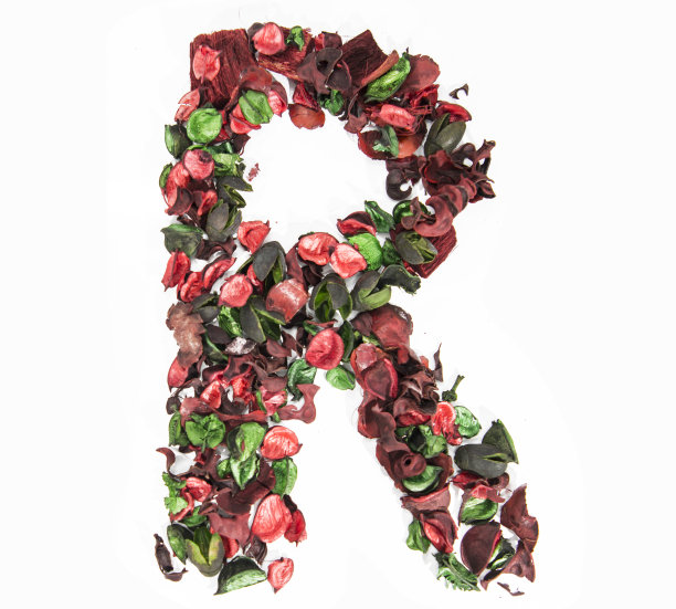 由干玫瑰花制成的拉丁字母。图片下载