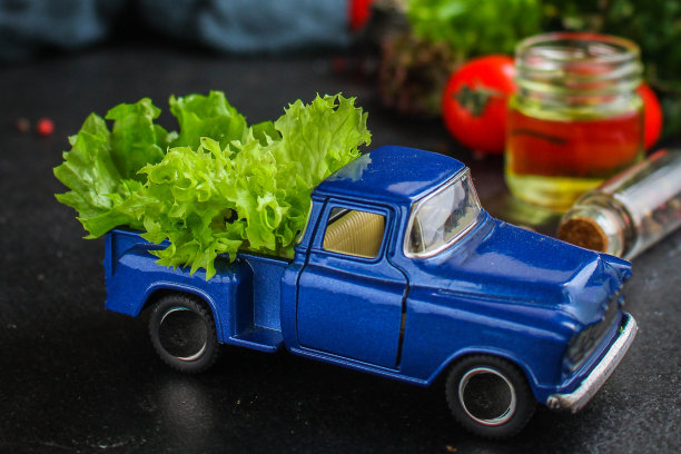 健康的沙拉-生菜叶，西红柿，蔬菜(维生素成分。玩具车)菜单概念。食品的背景。前视图。本空间图片下载