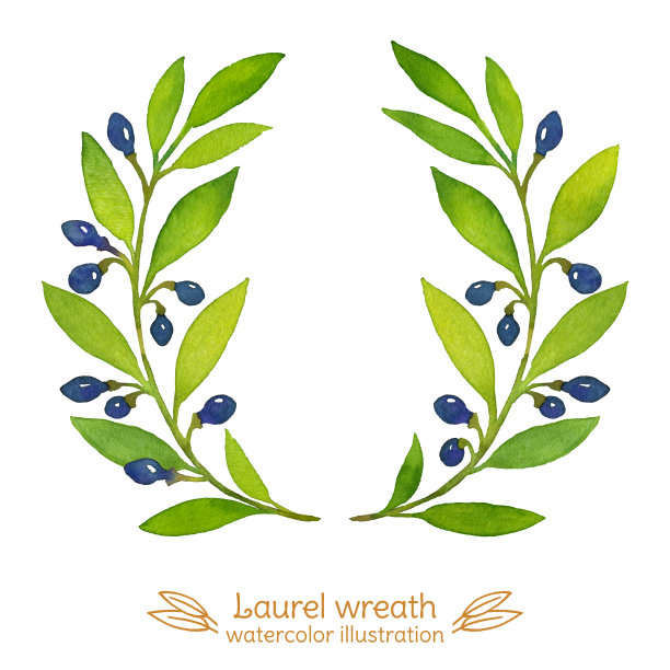 月桂湾花环水彩画插图图片下载
