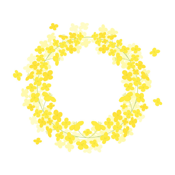 矢油菜花花环框架插图上白色图片下载