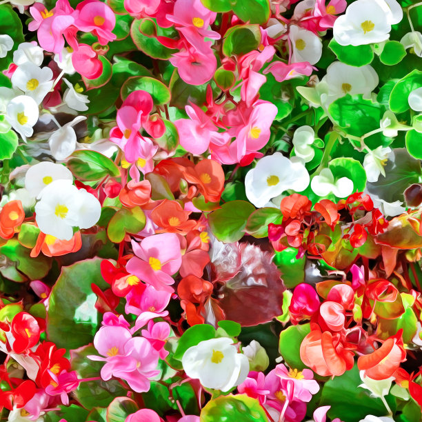 无缝质地鲜艳的夏日花朵。图片下载