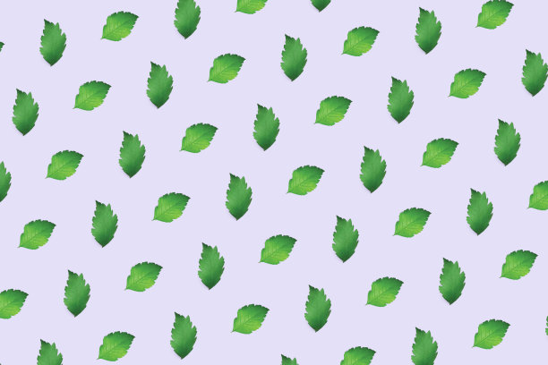 紫色背景上无缝的绿叶图案图片下载