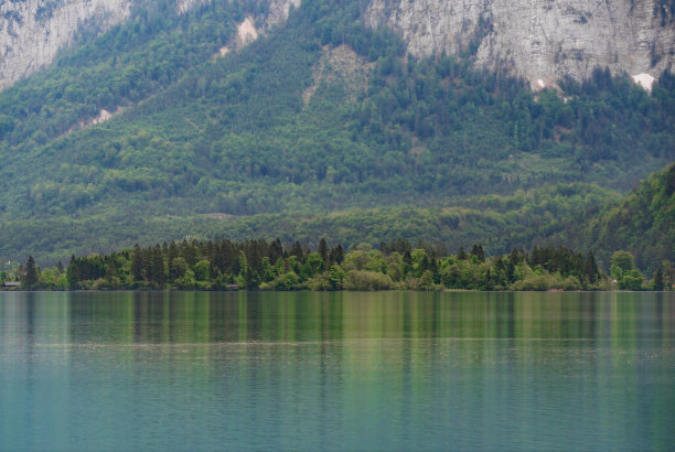 夏季景观，湖泊与绿色森林在哈尔斯塔特，奥地利在夏季图片下载