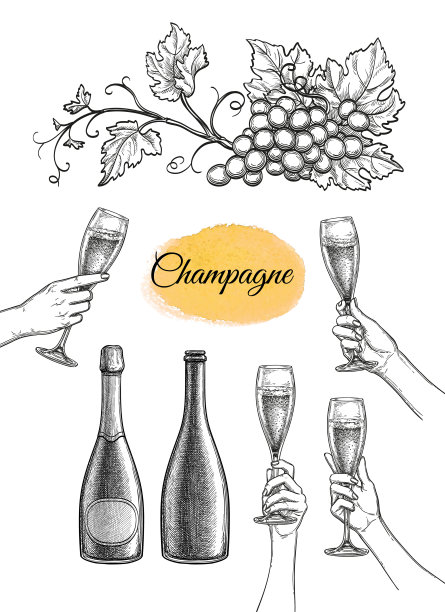 香槟的大集合。图片下载