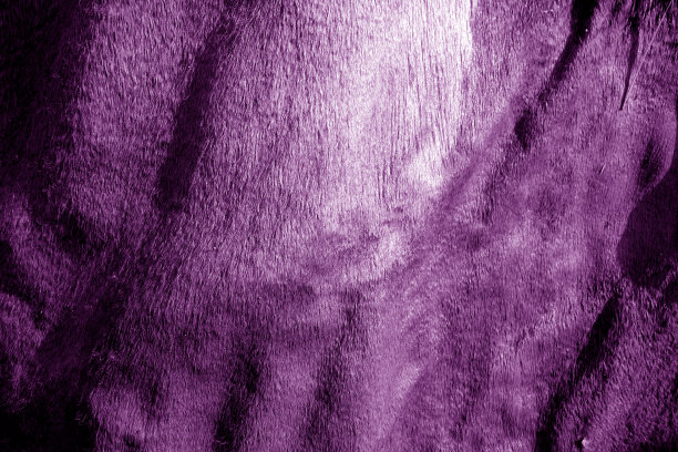 粗糙的皮革纹理上的太阳在紫色调。图片下载