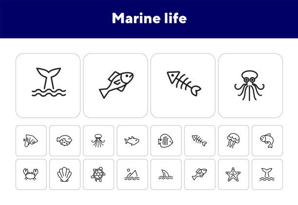 海洋生物的图标图片下载