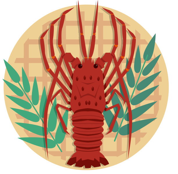 大螯虾图片下载