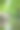 穿过Tiergarten公园图片下载