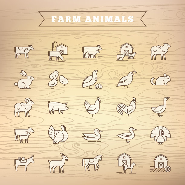 平面风格的插图收集，很好地绘制和孤立的木制背景图片下载