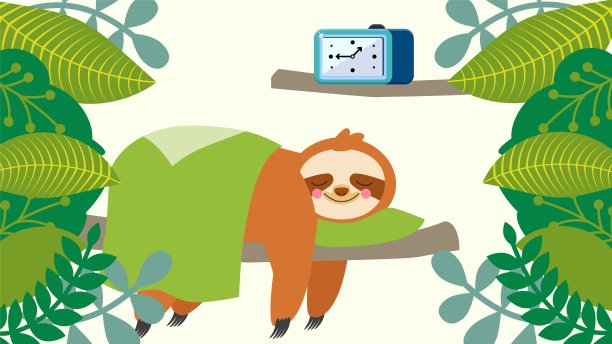 树懒野懒动物睡在树枝上在森林矢量插图。可爱的卡通微笑快乐的树懒躺在枕头下的毯子。闹钟,叶。图片下载