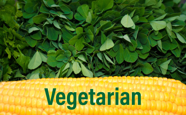 写在新鲜蔬菜上的素食字母。图片下载