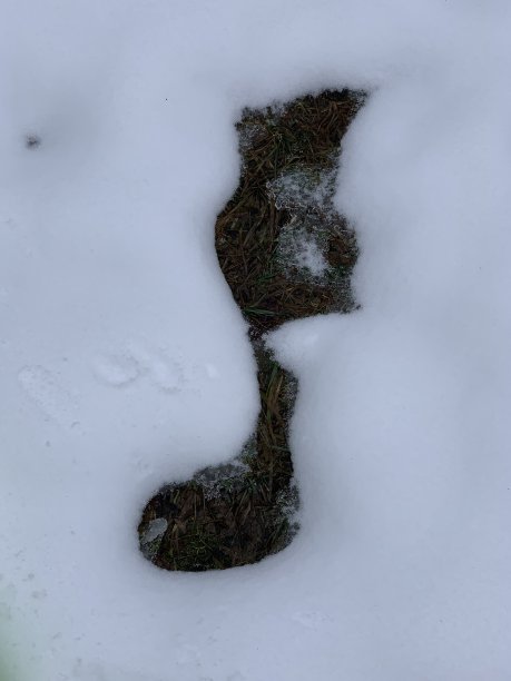 音乐的雪图片下载