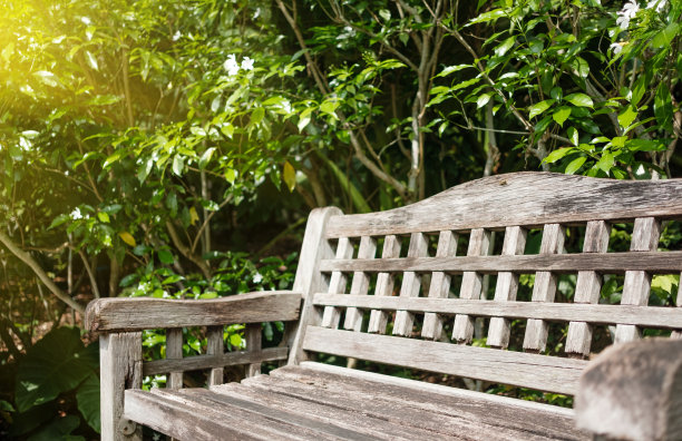 空旷的公园木凳近景。木材表面材料。图片下载