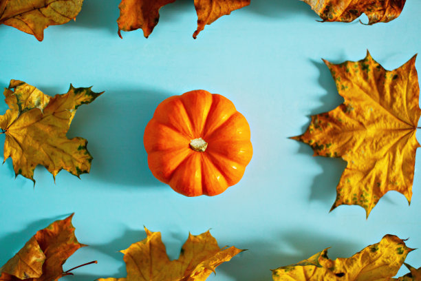 万圣节南瓜手电筒图片下载