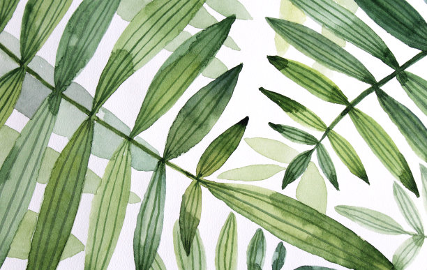 水彩画背景与绿色树叶手绘插图素材图片