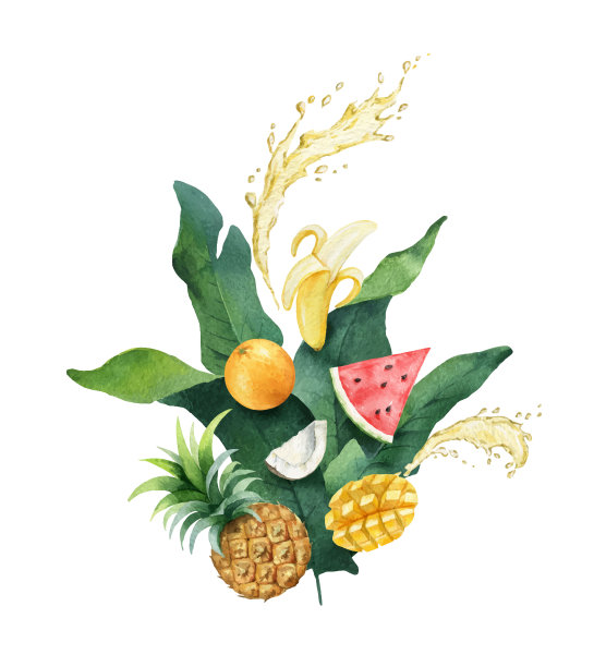 水彩矢量构成的绿色热带树叶和水果。素材图片