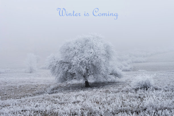 冬天即将来临的文字与冬天的场景在背景。图片下载