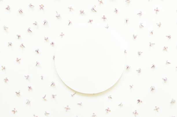 丁香花的创意布局与空白的文字在白纸上。模型。从以上观点。——图片图片下载