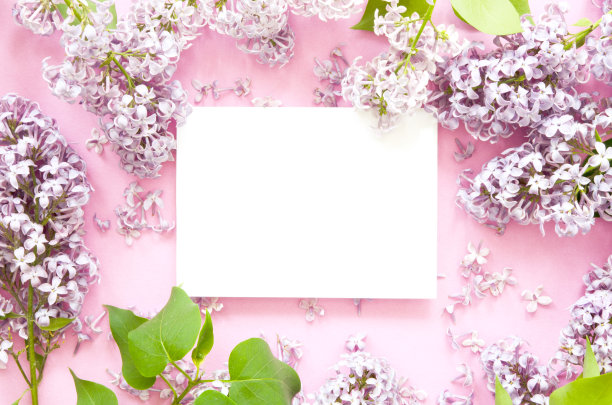 丁香花的创意布局与空白的文字在白纸上。模型。从以上观点。——图片图片下载