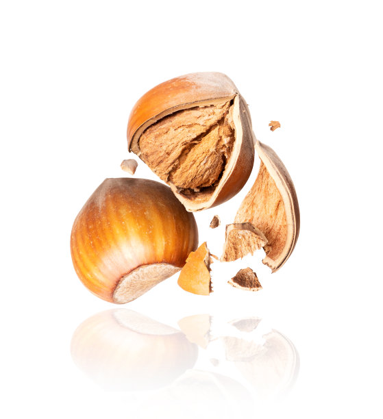 整个和压碎的榛子冰冻在空气中的白色背景特写图片下载