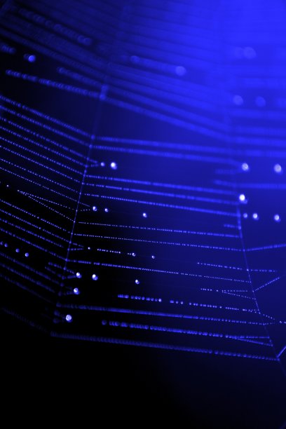 蜘蛛网和雨滴图片下载