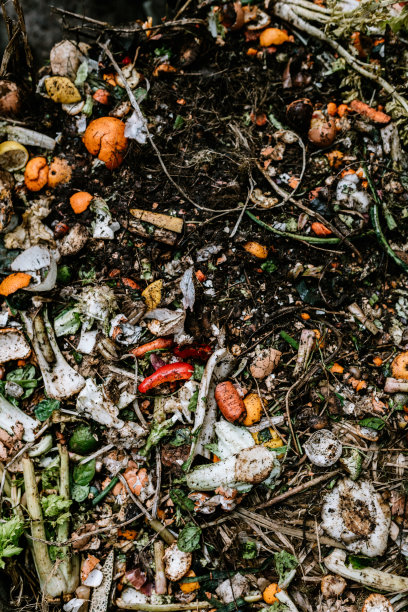 活跃的生活后院堆肥堆图片下载