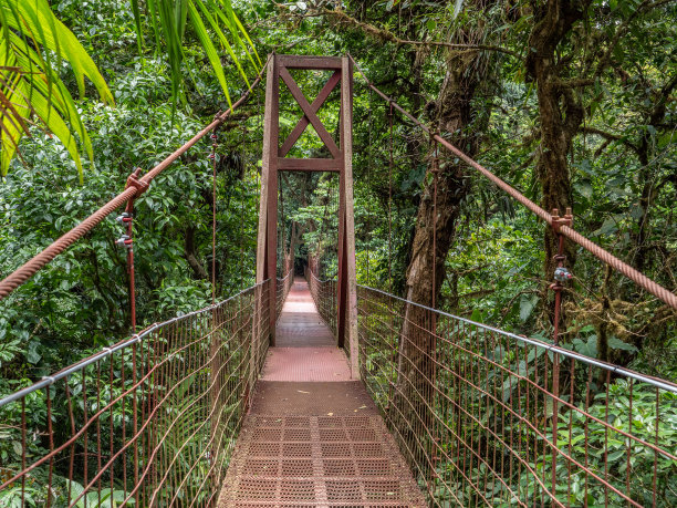 哥斯达黎加蒙特韦尔德的吊桥图片下载