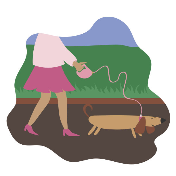 戴着牵引绳的小狗图片下载