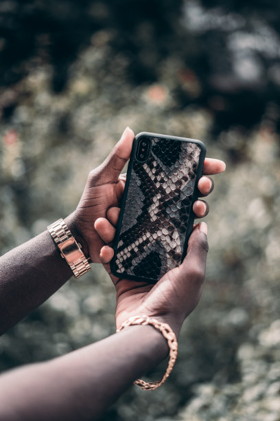 手持珠宝，手持电话，蛇皮外壳。图片下载