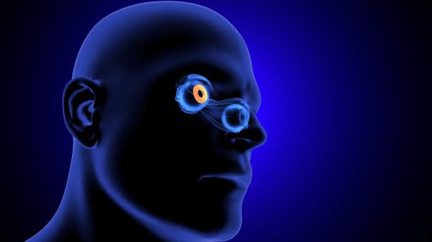 眼解剖部分系统的3d渲染图片下载