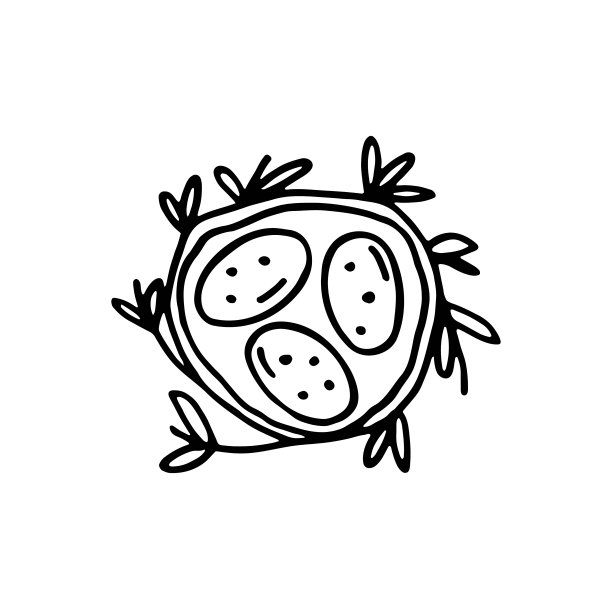 复活节彩蛋在巢可爱有趣的卡通手绘矢量涂鸦插图图片下载