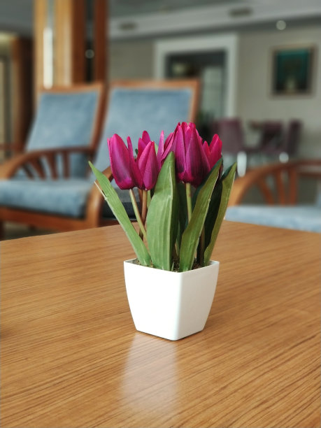 酒店大厅桌上放着一个花盆图片下载