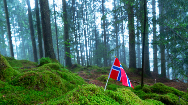 挪威国旗和绿色野餐地点在卑尔根图片下载