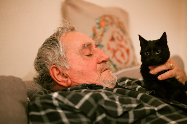 沙发上有个老头和他的猫图片下载