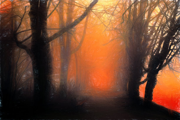 摘要森林图片下载