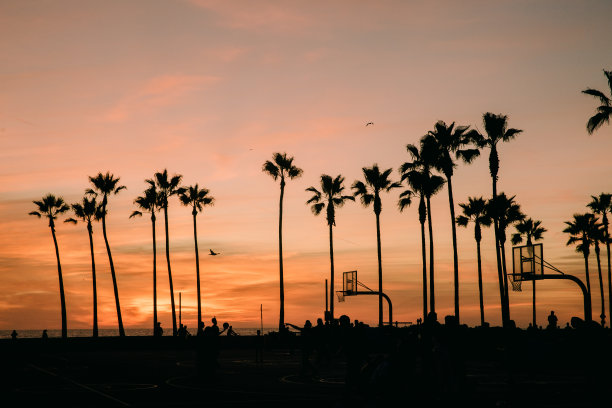 日落时棕榈树的剪影图片下载