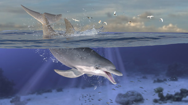 海豚潜水和跳跃的水平视图，一半是水下深海的3d渲染图片下载