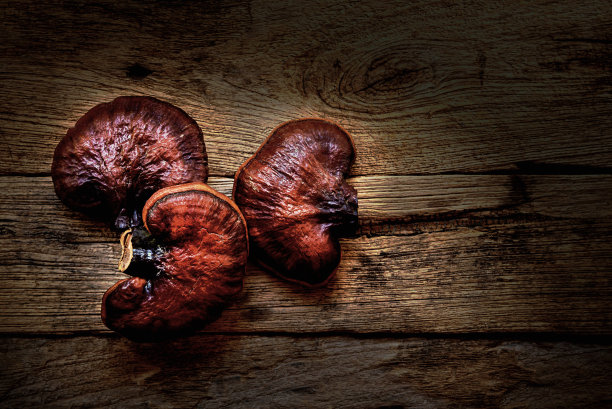 新鲜灵芝蘑菇放在深色木地板上。图片下载