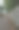 低矮的木板路与树叶图片下载