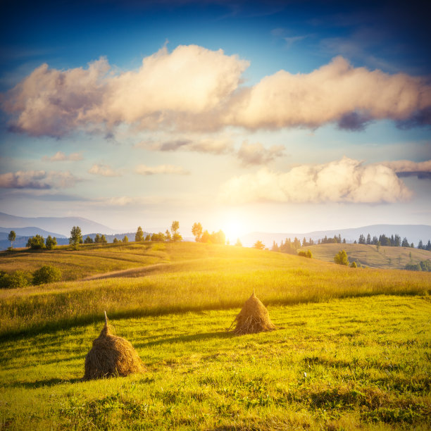 美妙的晴天在山区景观。喀尔巴阡、乌克兰、欧洲。图片下载