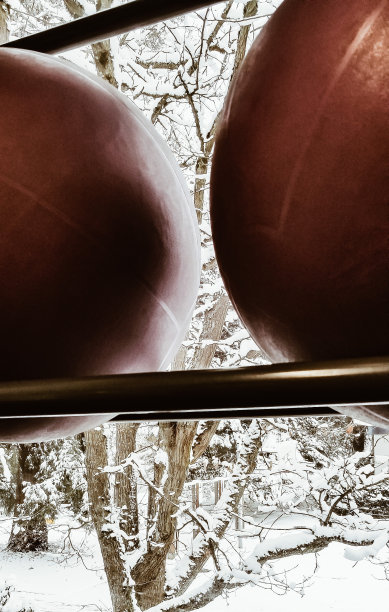 新的一年的锻炼图片下载