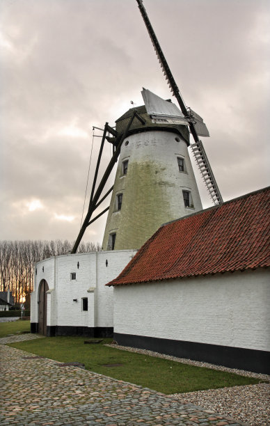 比利时科特赖克的老风车图片下载