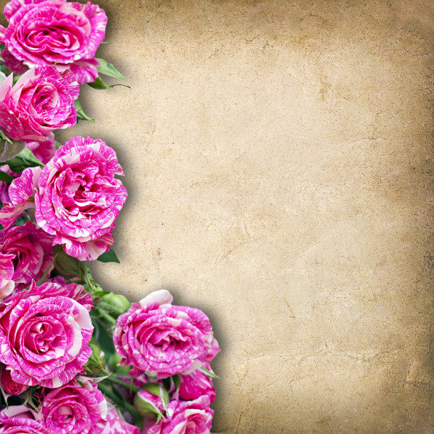 社交媒体问候信息布局图片下载