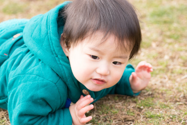 孩子,秋天(男孩)图片下载