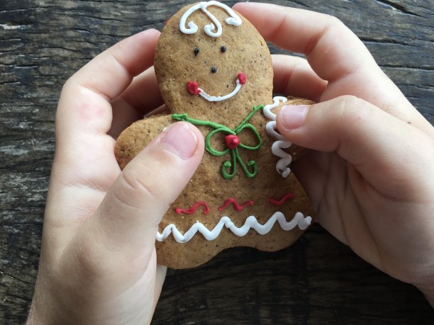 单独姜饼饼干图片下载