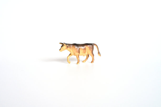 一只塑料玩具公牛被孤立在白色的背景上。象征2021年的牛图片下载