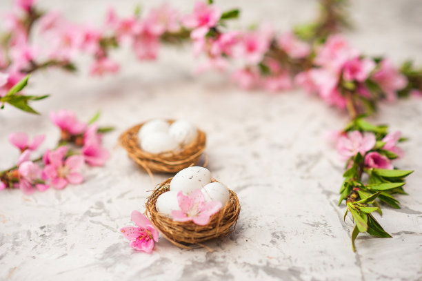 春天的照片开花树和复活节彩蛋特写和复制空间。复活节卡片与兔子和鸡蛋的概念。趋势粉红色调。图片下载