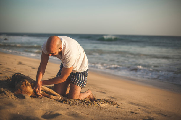 暑假养狗图片下载