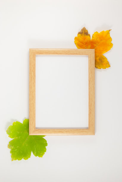 秋天的成分。相框，干树叶。秋，秋，平躺，俯视图图片下载