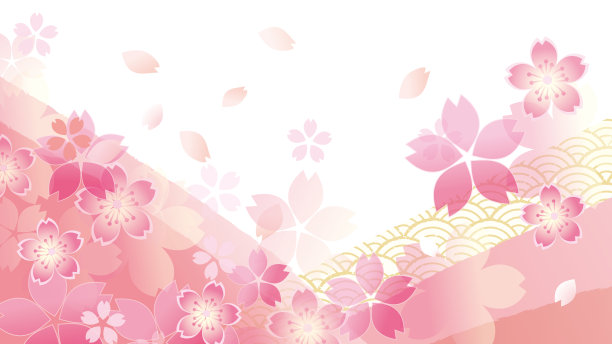 日本樱花美丽的樱花背景图像图片下载